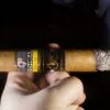 1 Humidor with 6 Cohiba Majestuosos