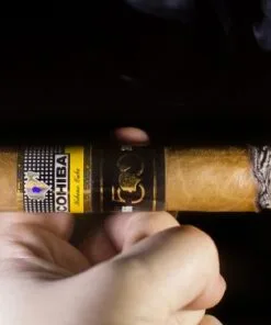 1 Humidor with 6 Cohiba Majestuosos