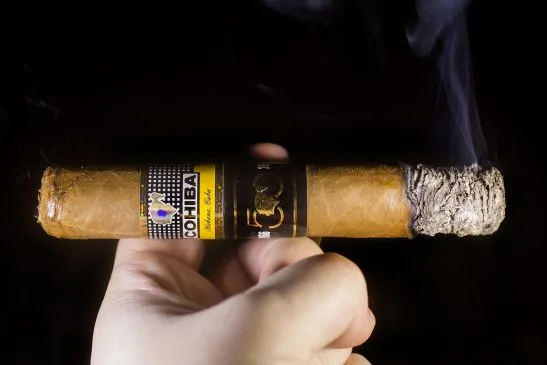 1 Humidor with 6 Cohiba Majestuosos