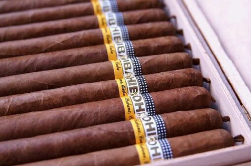 Buy Cohiba Lanceros 25 online