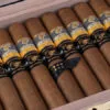 1 Humidor with 6 Cohiba Majestuosos