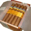 Cohiba Siglo II for sale